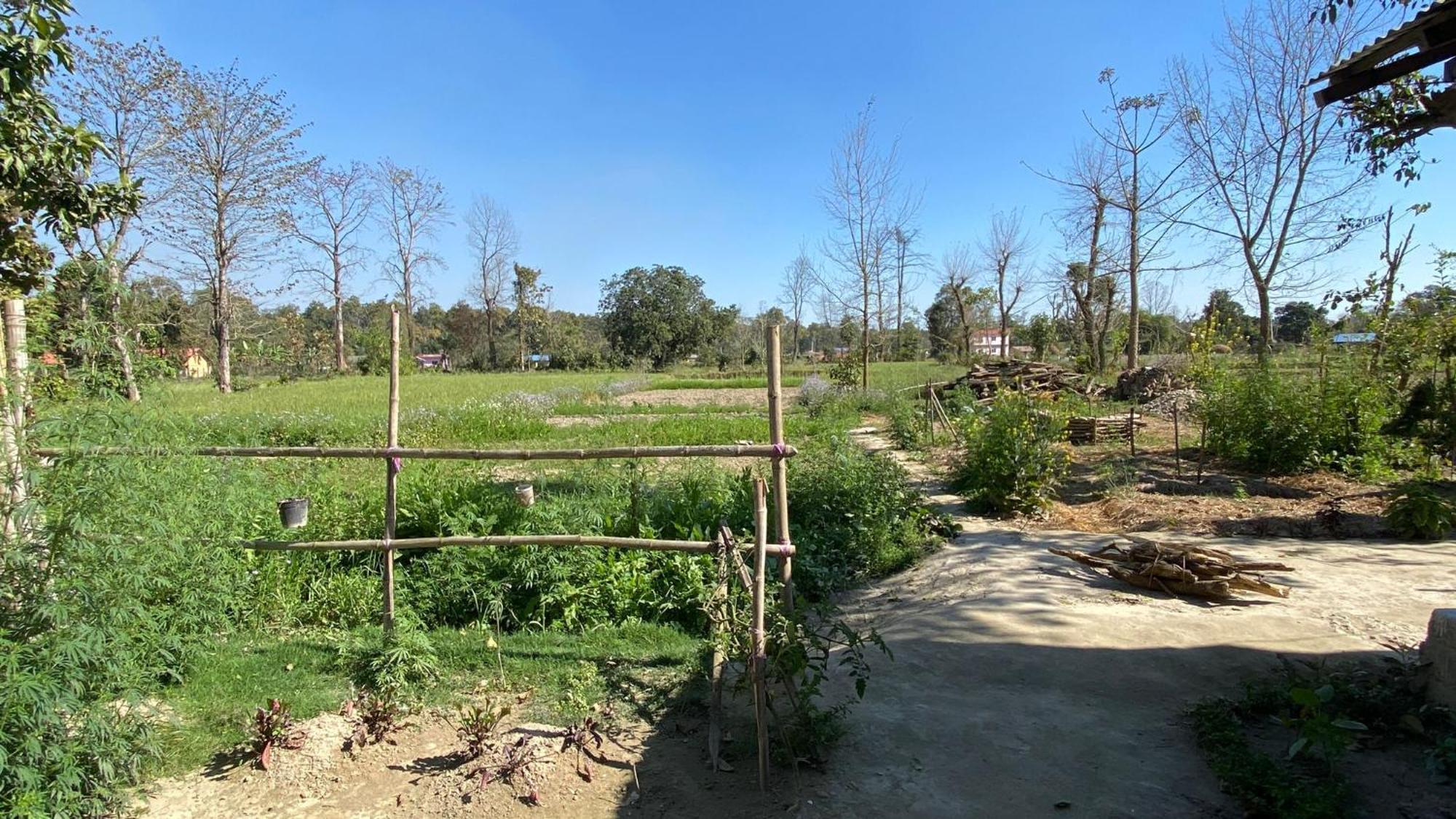 Nanu'S Bardiya Homestay Екстер'єр фото